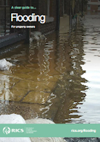 RICS_Guide_to_flooding.jpeg