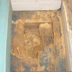 Great_Woodworm.jpg